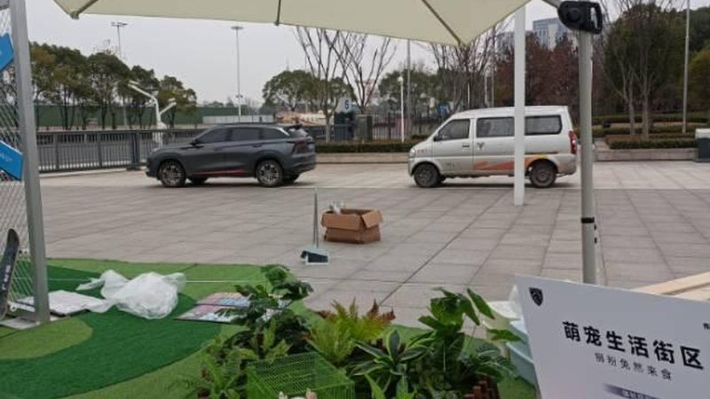 品牌展厅设计：材质定制的关键要素与行业洞察